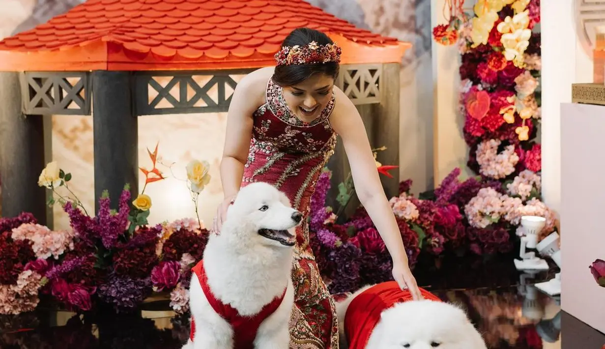 5 Fakta Cheongsam, Baju Khas saat Perayaan Imlek, Arti hingga Simbol ... 5 Fakta Cheongsam, Baju Khas saat Perayaan Imlek, Arti hingga Simbol ...